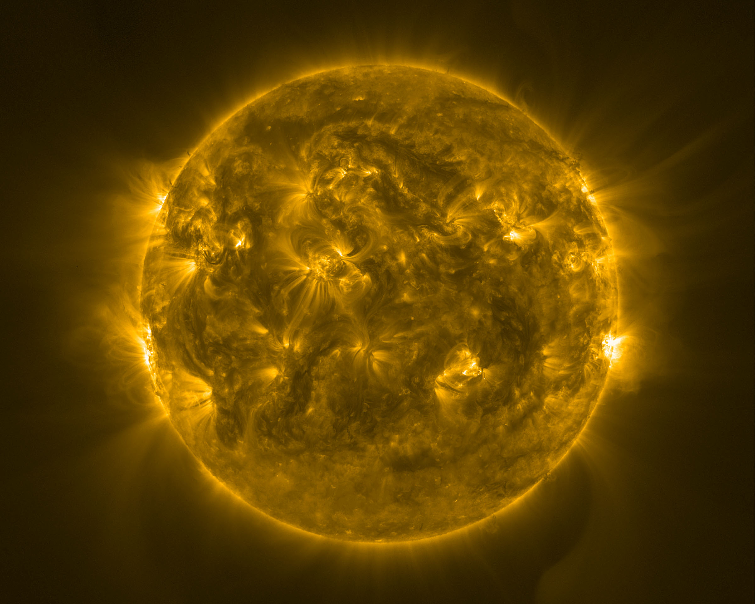 Sun s surprising activity surge in Solar Orbiter snapshot